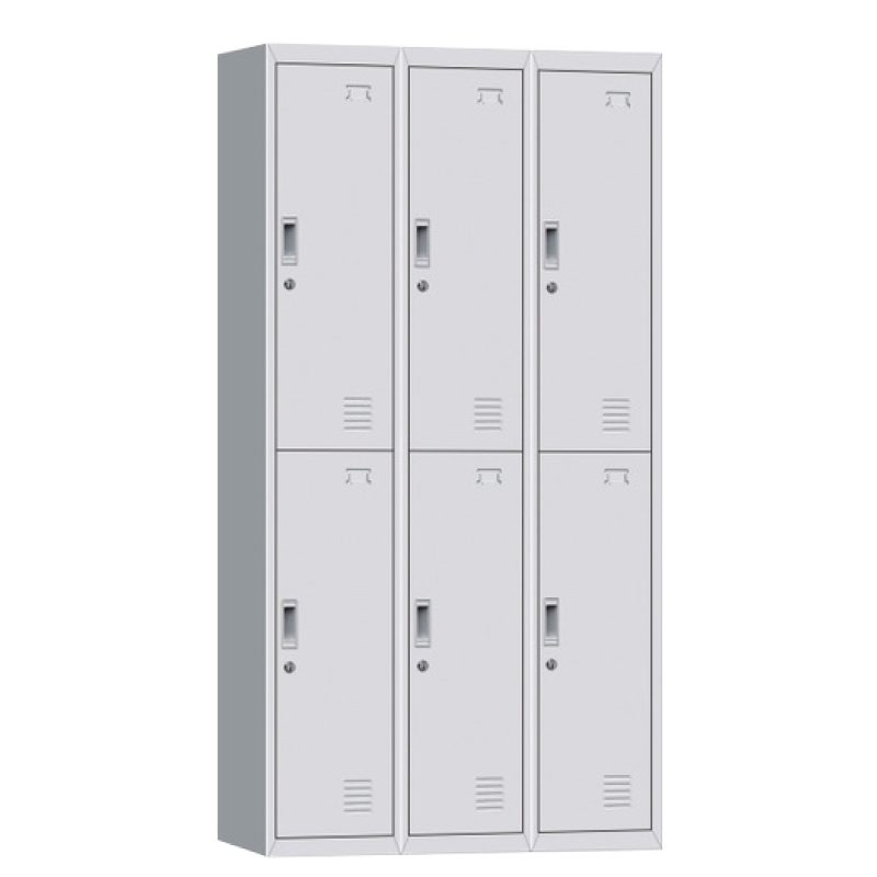 LOCKER 6 ESPACIOS VERTICAL LICHE-M-06